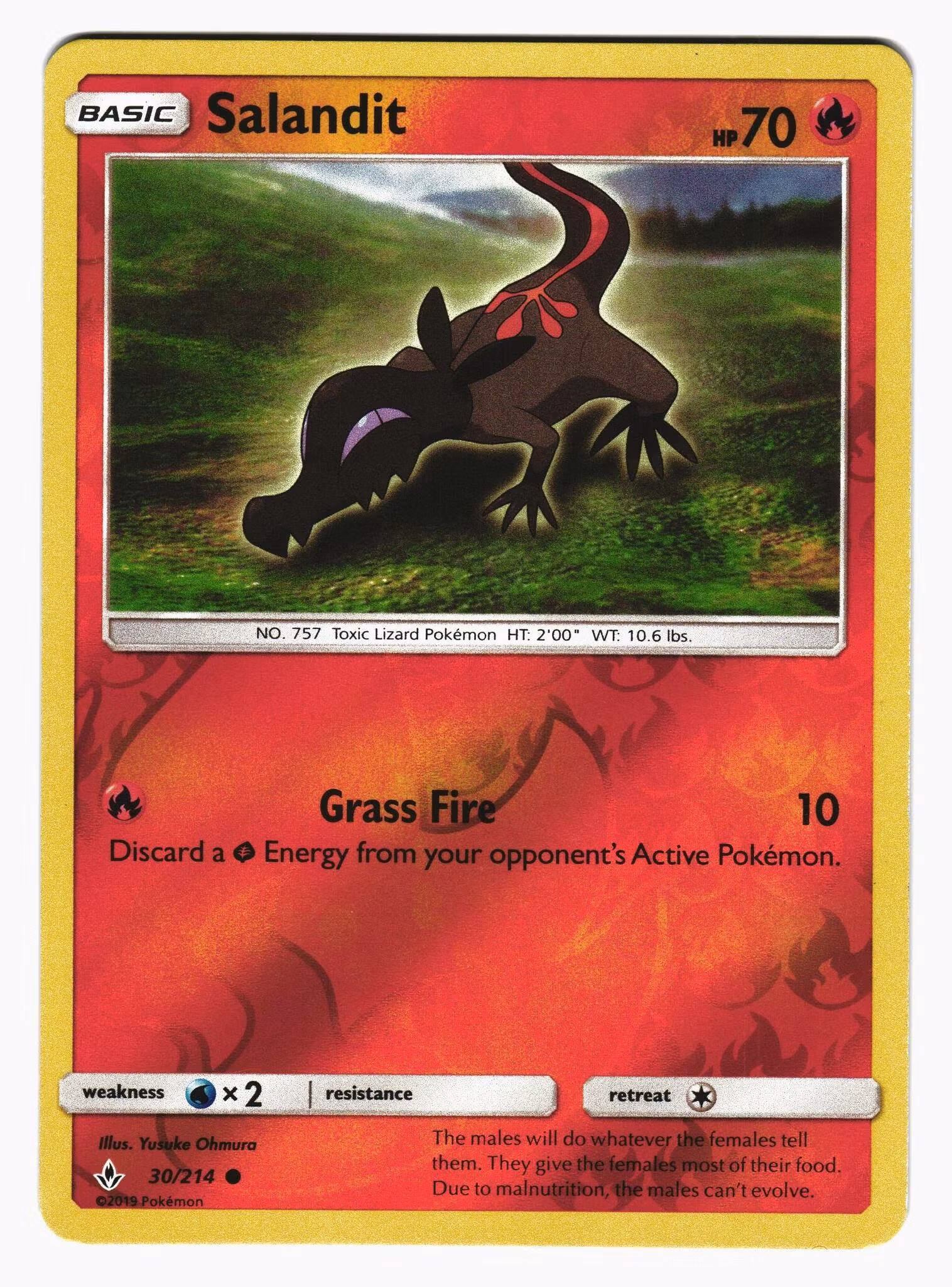 Salandit Reverse Holo Common 30/214 Unbroken Bonds Pokemon