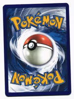 Zangoose Holo Rare 132/181 Team Up Pokemon