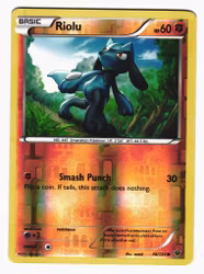 Riolu Reverse Holo Common 46/124 Fates Collide Pokemon