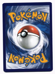 Bagon Common Reverse Holo 54/108 Roaring Skies Pokemon