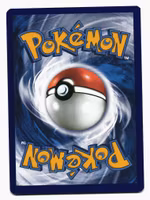 Togepi Common Reverse Holo 43/108 Roaring Skies Pokemon