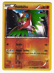 Hawlucha Common Reverse Holo 39/108 Roaring Skies Pokemon