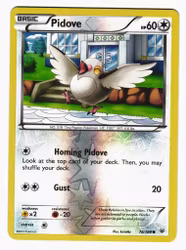 Pidove Common Reverse Holo 78/108 Roaring Skies Pokemon
