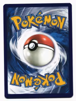 Darumaka Common Reverse Holo 8/70 Dragon Majesty Pokemon