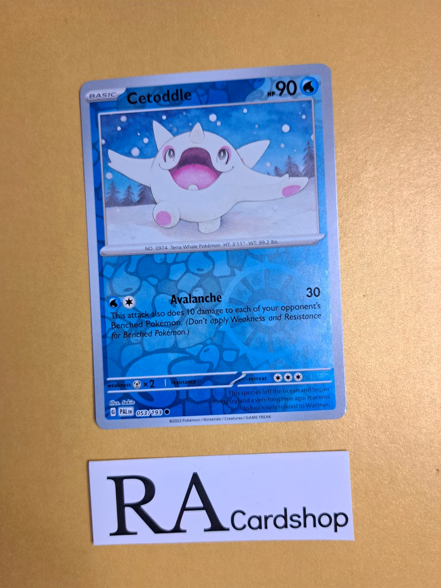 Cetoddle Common Reverse Holo 053/193 Paldea Evolved Pokemon