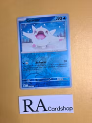 Cetoddle Common Reverse Holo 053/193 Paldea Evolved Pokemon