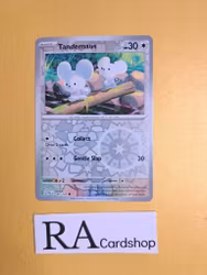 Tandemaus Common Reverse Holo 166/193 Paldea Evolved Pokemon