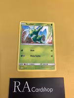 Scyther Uncommon 5/68 Hidden Fates Pokemon