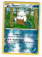 Snover Common Reverse Holo 39/162 XY BREAKthrough Pokemon