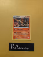 Pyroar Rare 23/114 Steam Siege Pokemon