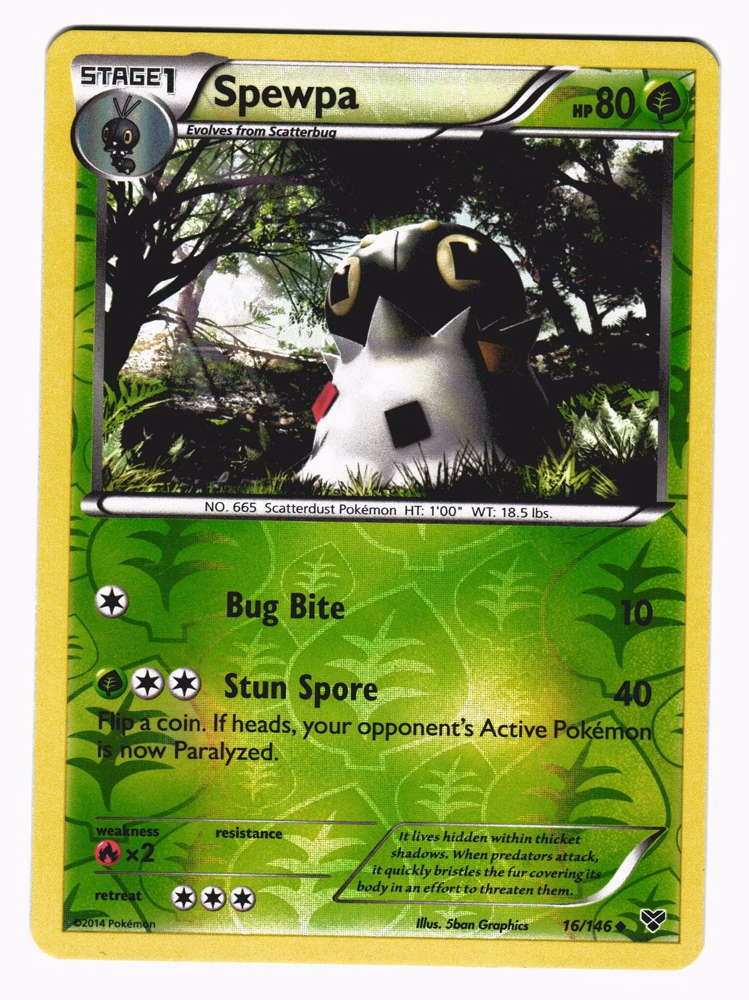 Spewpa Reverse Holo Uncommon 16/146 XY Base Set Pokemon