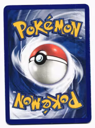 Swinub Common 79/109 EX Team Rocket Returns Pokemon