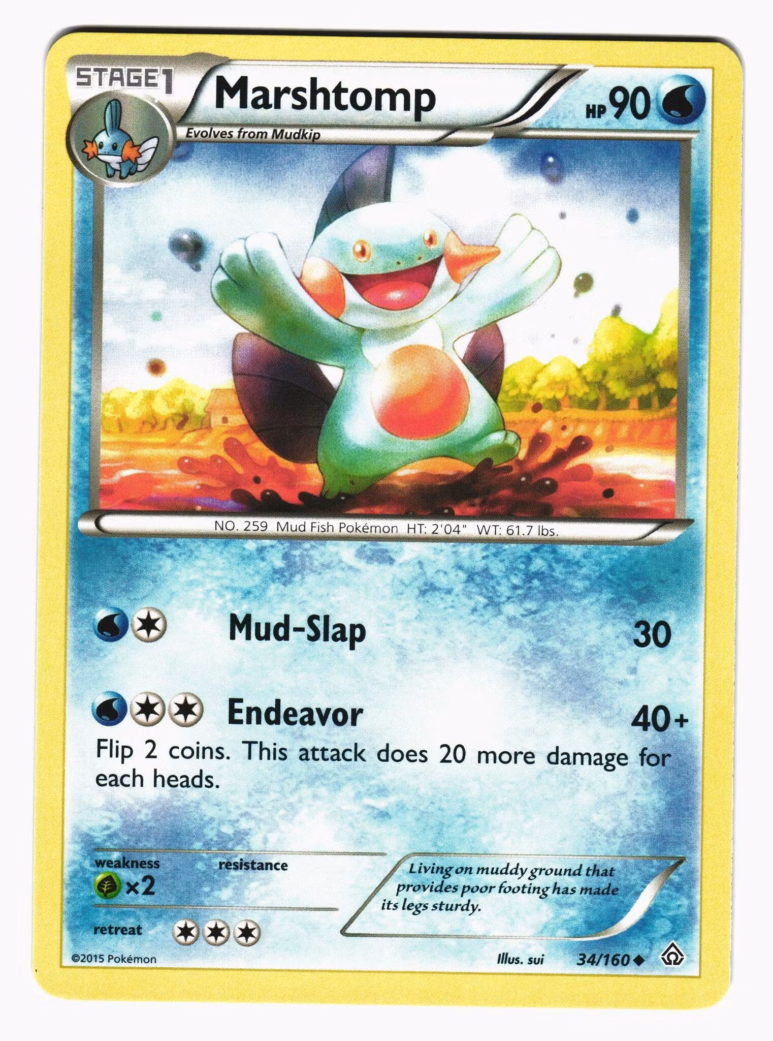 Marshtomp Uncommon 34/160 Primal Clash Pokemon