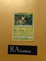Bellsprout Common 1/145 Guardians Rising Pokemon