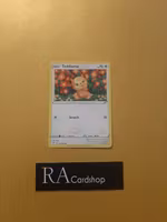 Teddiursa Common 126/203 Evolving Skies Pokemon