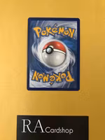 Stoutland Rare 135/203 Evolving Skies Pokemon