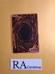 Empress of Prophecy EN047 1st EDITION Abyss Rising ABYR Yu-Gi-Oh