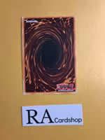 Starry Knight Balefire GFTP-EN031 1st Edition Ghosts From the Past Yu-Gi-Oh