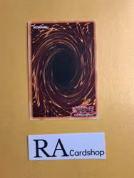 Starry Knight Balefire GFTP-EN031 1st Edition Ghosts From the Past Yu-Gi-Oh