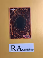 Starry Knight Sky GFTP-EN032 1st Edition Ghosts From the Past Yu-Gi-Oh