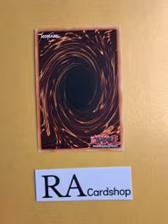 Starry Knight Sky GFTP-EN032 1st Edition Ghosts From the Past Yu-Gi-Oh