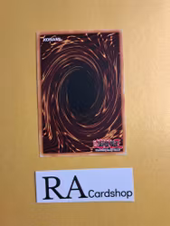 Madolche Chateau GFTP-EN117 1st Edition Ghosts From the Past Yu-Gi-Oh