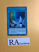 Starry Knight Ceremony GFTP-EN033 1st Edition Ghosts From the Past Yu-Gi-Oh