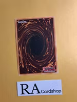 Starry Knight Ceremony GFTP-EN033 1st Edition Ghosts From the Past Yu-Gi-Oh