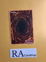 Starry Knight Rayel GFTP-EN028 1st Edition Ghosts From the Past Yu-Gi-Oh