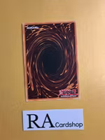 Helshadoll Hollow GFTP-EN007 1st Edition Ghosts From the Past Yu-Gi-Oh