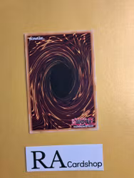 Wiz Sage Fur Hire DASA-EN022 Dark Saviors Yu-Gi-Oh