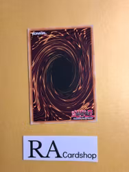 Brotherhood of the Fire Fist -Ram 1st ED FIGA-EN011 Fists of the Gadgets Yu-Gi-Oh