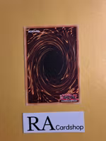 The True Name 1st EDITION LED7-EN014 Legendary Duelists: Rage of Ra Yu-Gi-Oh