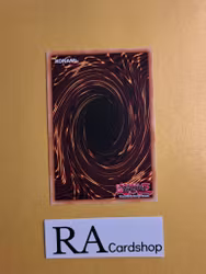 The True Name 1st EDITION LED7-EN014 Legendary Duelists: Rage of Ra Yu-Gi-Oh