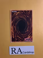 Odd-Eyes Pendulum Dragon 1st Edition DUPO-EN105 Duel Power Yu-Gi-Oh