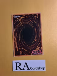 Beetrooper Descent 1st Edition BODE-EN089 Burst of Destiny Yu-Gi-Oh