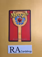 Golden Bear (NH) 13/165 - 1st Edition Wilderness Meta Zoo