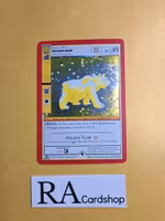 Golden Bear (FH) 13/165 - 1st Edition Wilderness Meta Zoo