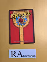 Golden Bear (FH) 13/165 - 1st Edition Wilderness Meta Zoo