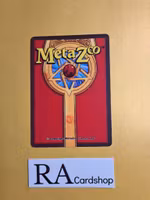 Starlight Bloom (NH) 38/165 - 1st Edition Wilderness Meta Zoo