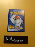 Nincada Common 013/185 Vivid Voltage Pokemon