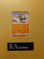 Silicobra Common 108/202 Sword and Shield Pokemon