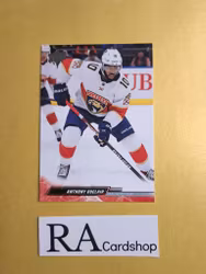 #327 Anthony Duclair 2022-23 Upper Deck Series 2 Hockey