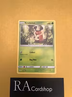 Kricketot Common 13/236 Cosmic Eclipse Pokemon
