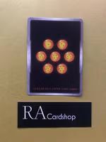 Master Shen, Martial Meister TB2-063 Uncommon World Martial Arts Tournament TB2 Dragon Ball Super CCG