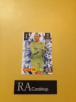 Heurelho Gomes Tottenham Hotspur EUFA Champions Leauge Adrenalyn XL 2010-2011