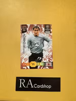 Sergei Ryzhikov Rubin EUFA Champions Leauge Adrenalyn XL 2010-2011