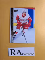 #546 Vladislav Namestnikov 2020-21 Upper Deck Extended Series Hockey