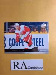 #547 Bobby Ryan 2020-21 Upper Deck Extended Series Hockey