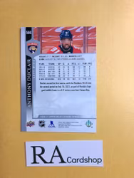 #556 Anthony Duclair 2020-21 Upper Deck Extended Series Hockey